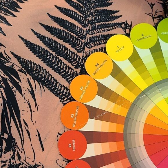 Robbi & Nikki women's top with open back detail size S - Picture 8 of 8